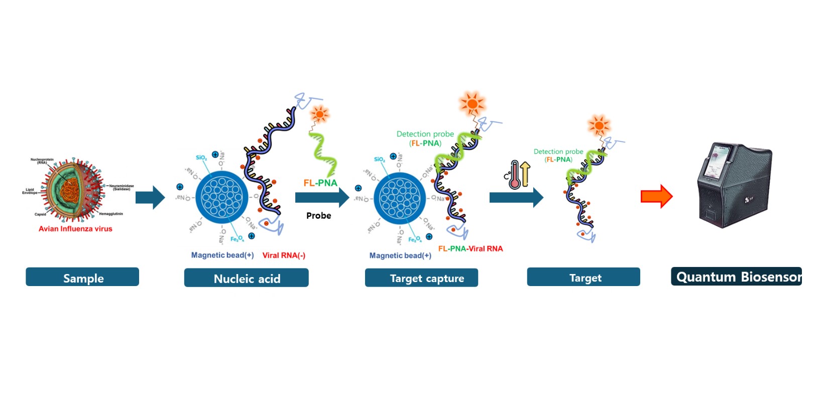Quantum biosensor processing